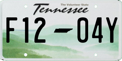 TN license plate F1204Y