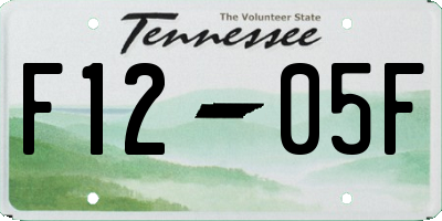 TN license plate F1205F