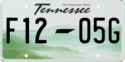 TN license plate F1205G