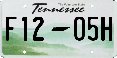 TN license plate F1205H