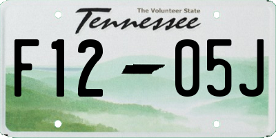 TN license plate F1205J