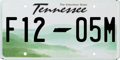 TN license plate F1205M