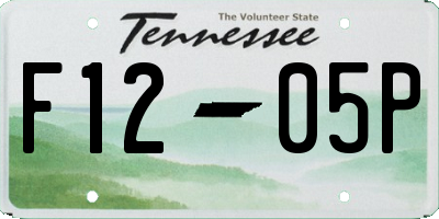 TN license plate F1205P