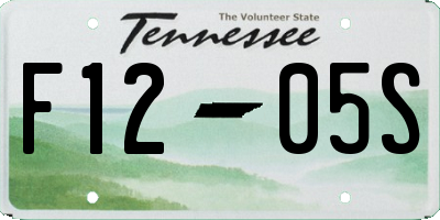 TN license plate F1205S