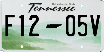 TN license plate F1205V