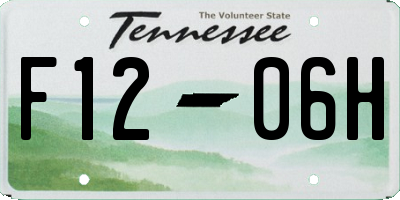 TN license plate F1206H