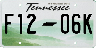 TN license plate F1206K