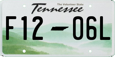 TN license plate F1206L