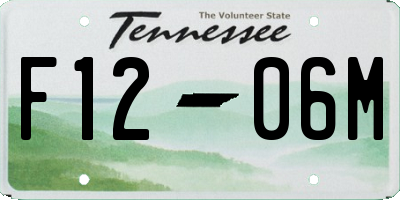 TN license plate F1206M