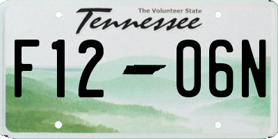 TN license plate F1206N