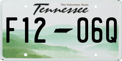 TN license plate F1206Q