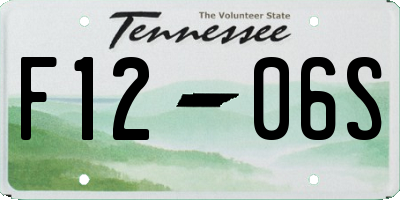 TN license plate F1206S