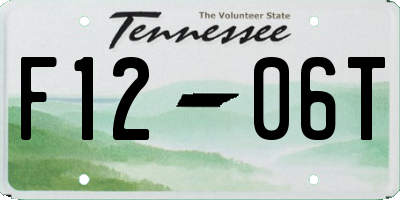 TN license plate F1206T