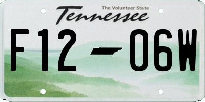 TN license plate F1206W