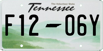 TN license plate F1206Y