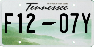 TN license plate F1207Y