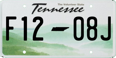 TN license plate F1208J