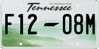 TN license plate F1208M