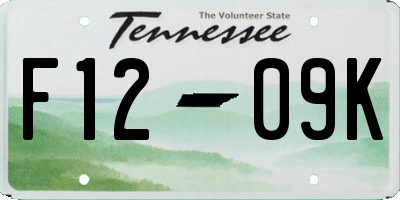 TN license plate F1209K