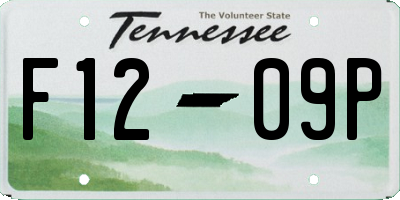 TN license plate F1209P