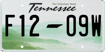 TN license plate F1209W