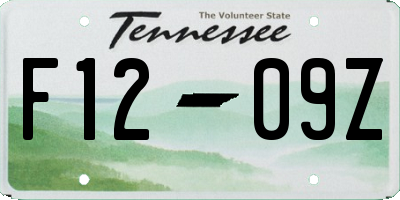 TN license plate F1209Z