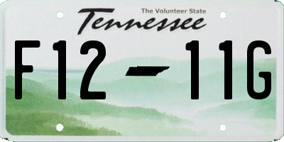 TN license plate F1211G