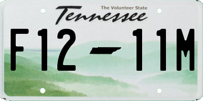 TN license plate F1211M