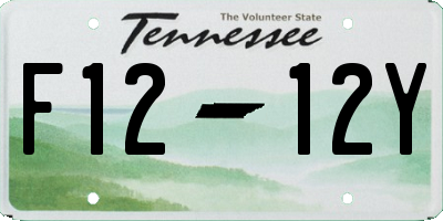 TN license plate F1212Y