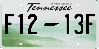 TN license plate F1213F