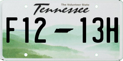 TN license plate F1213H