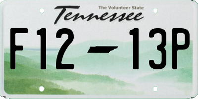 TN license plate F1213P