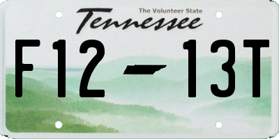 TN license plate F1213T