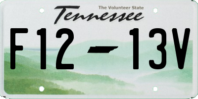 TN license plate F1213V