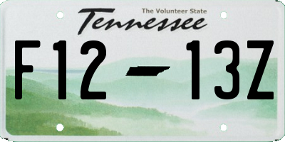 TN license plate F1213Z