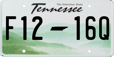 TN license plate F1216Q