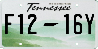 TN license plate F1216Y