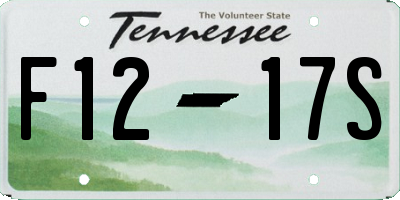 TN license plate F1217S