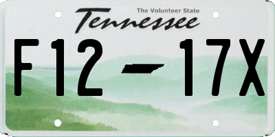 TN license plate F1217X