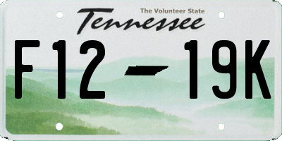 TN license plate F1219K