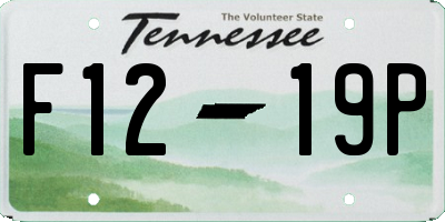 TN license plate F1219P