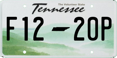 TN license plate F1220P