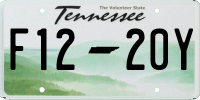 TN license plate F1220Y
