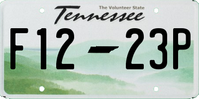 TN license plate F1223P