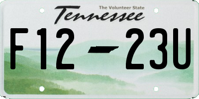 TN license plate F1223U