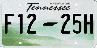 TN license plate F1225H