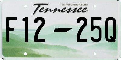 TN license plate F1225Q