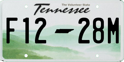 TN license plate F1228M