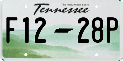 TN license plate F1228P