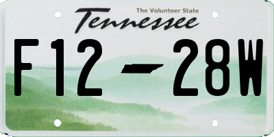 TN license plate F1228W